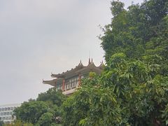 -荔枝公园(福田区)