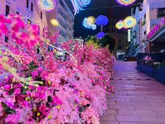 -上街里市集(悦喜客来广场店)