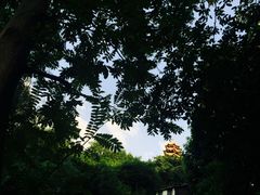 -胖娃古镇鸡杂(磁器口总店)