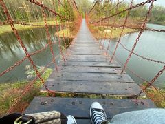 -合肥滨湖国家森林公园