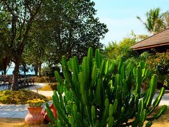 -惠州金海湾嘉华度假酒店