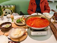 -眉州东坡·熊猫主题餐厅(枫蓝店)