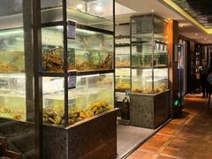 -甄御•海鲜新青岛菜(麦岛店)