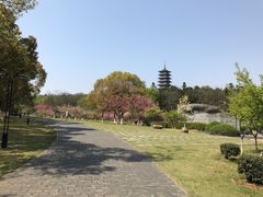 -宜兴龙背山森林公园