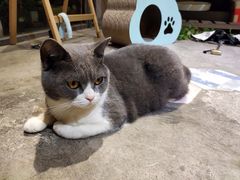-花十悦·鲜花咖啡餐厅(振业城一期店)