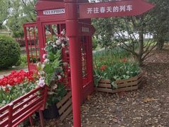 -上海鲜花港