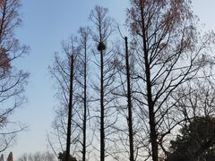 -湖滨客舍·湖北菜