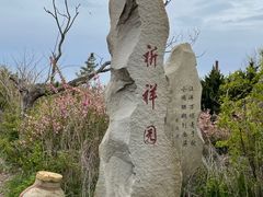-大长山岛