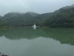 -广州白江湖森林公园