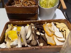 -菌小白·野生菌火锅(时尚天河店)