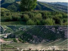 -芦芽山旅游度假区