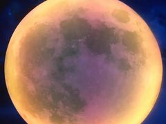 -天津梵高星空艺术馆(天河城旗舰店)