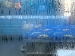 -蓝鲸快乐宝贝婴童游泳馆(南飞鸿十年城店)