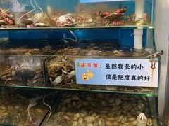-仙螺岛海鲜自助餐厅(总店)