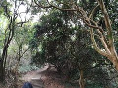 -广州市帽峰山景区