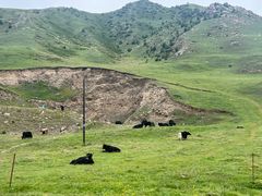 -扁都口生态休闲旅游区