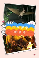 -恐龙探索乐园(磁器口店)