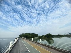 -贡湖湾湿地公园