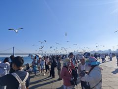 -星海广场
