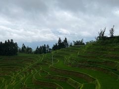 -紫鹊界梯田景区