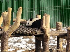 -沈阳森林动物园