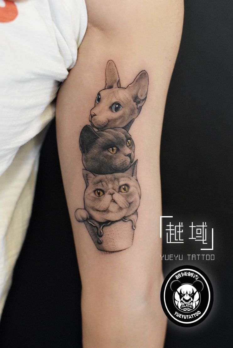 手臂猫咪肖像纹身图案