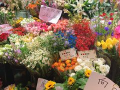 -双季花艺园艺市场(浦东店)