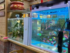 -老姐石板烧烤+铜炭火锅(总店)