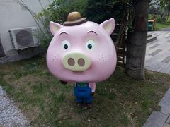 -田园东方蜜桃村的田野营地
