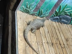 -石家庄市动物园