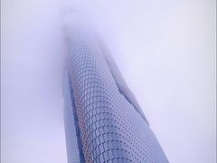 -紫峰大厦