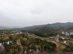 -清远熹乐谷温泉度假酒店