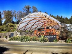 -怀托摩萤火虫洞