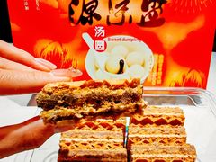 -源宗盛粽子汤圆