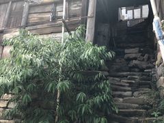 -恩阳古镇