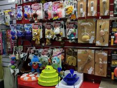 -瑞派宠物医院·24小时骨科·心脏·核磁(哈尔滨南岗店)