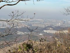 -紫金山山顶公园