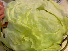 生菜-百友顺涮肉城(故城东路店)