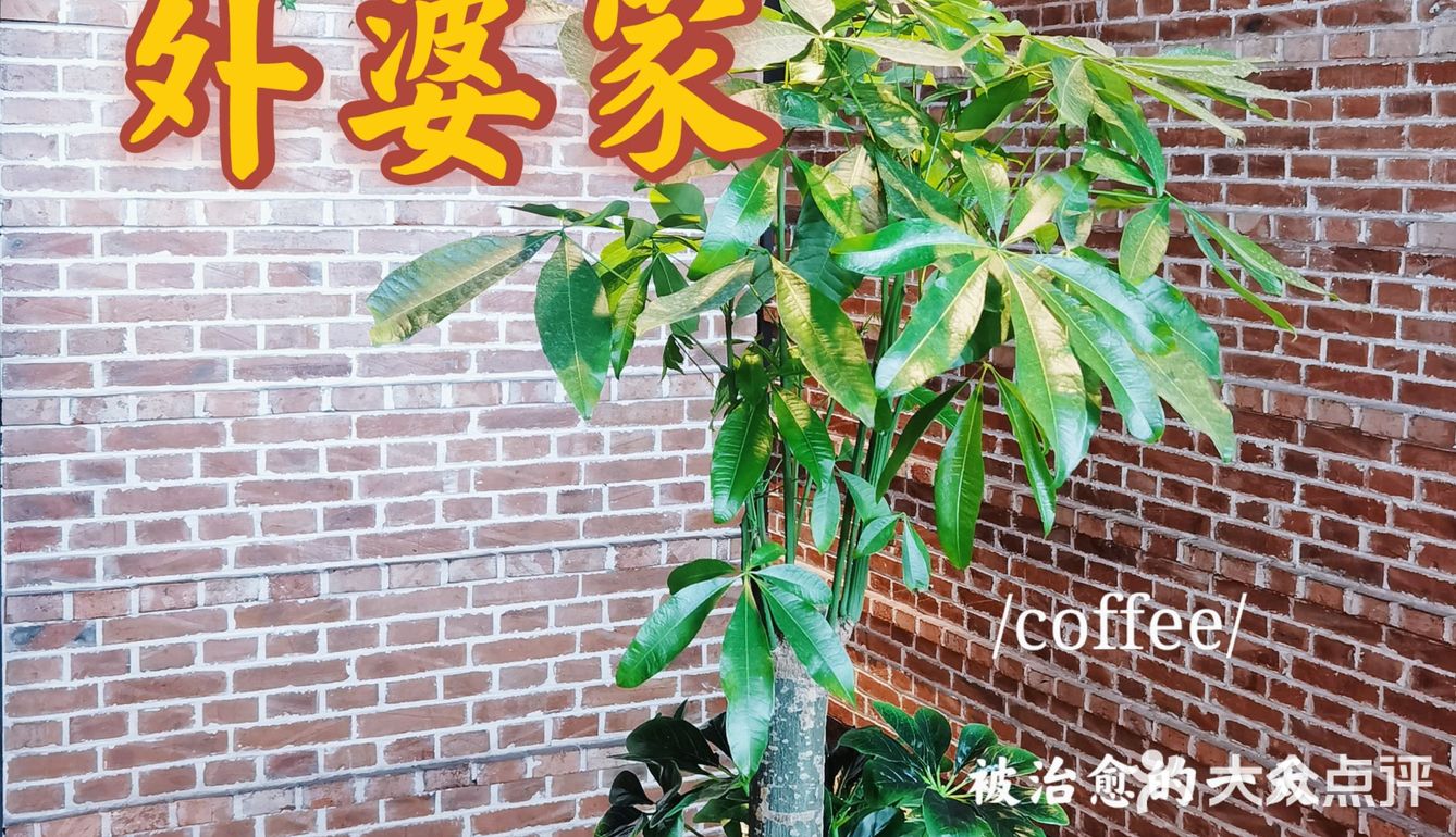 天津探店｜外婆叫你吃饭喽[胜利]