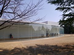 -金泽21世纪美术馆