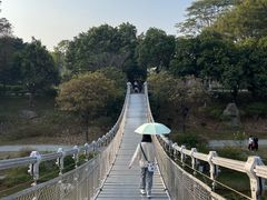 -东莞植物园