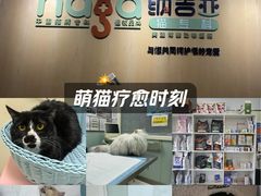 -纳吉亚猫专科动物医院博雅分院