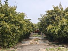 -蠡湖大桥公园