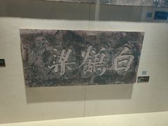 -白鹤梁水下博物馆