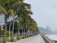 -港珠澳大桥(珠海段)