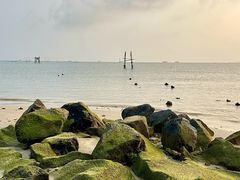 -东郊椰林