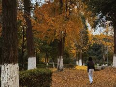 -四川大学(江安校区)