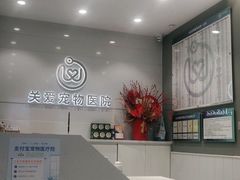 -关爱宠物医院·猫科中心·消化科(滨湖万达分院)