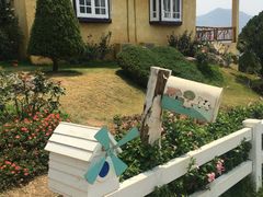 -黄色小屋