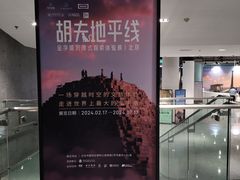 -凤凰中心
